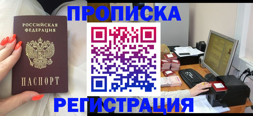 где прописаться в Малой Вишере